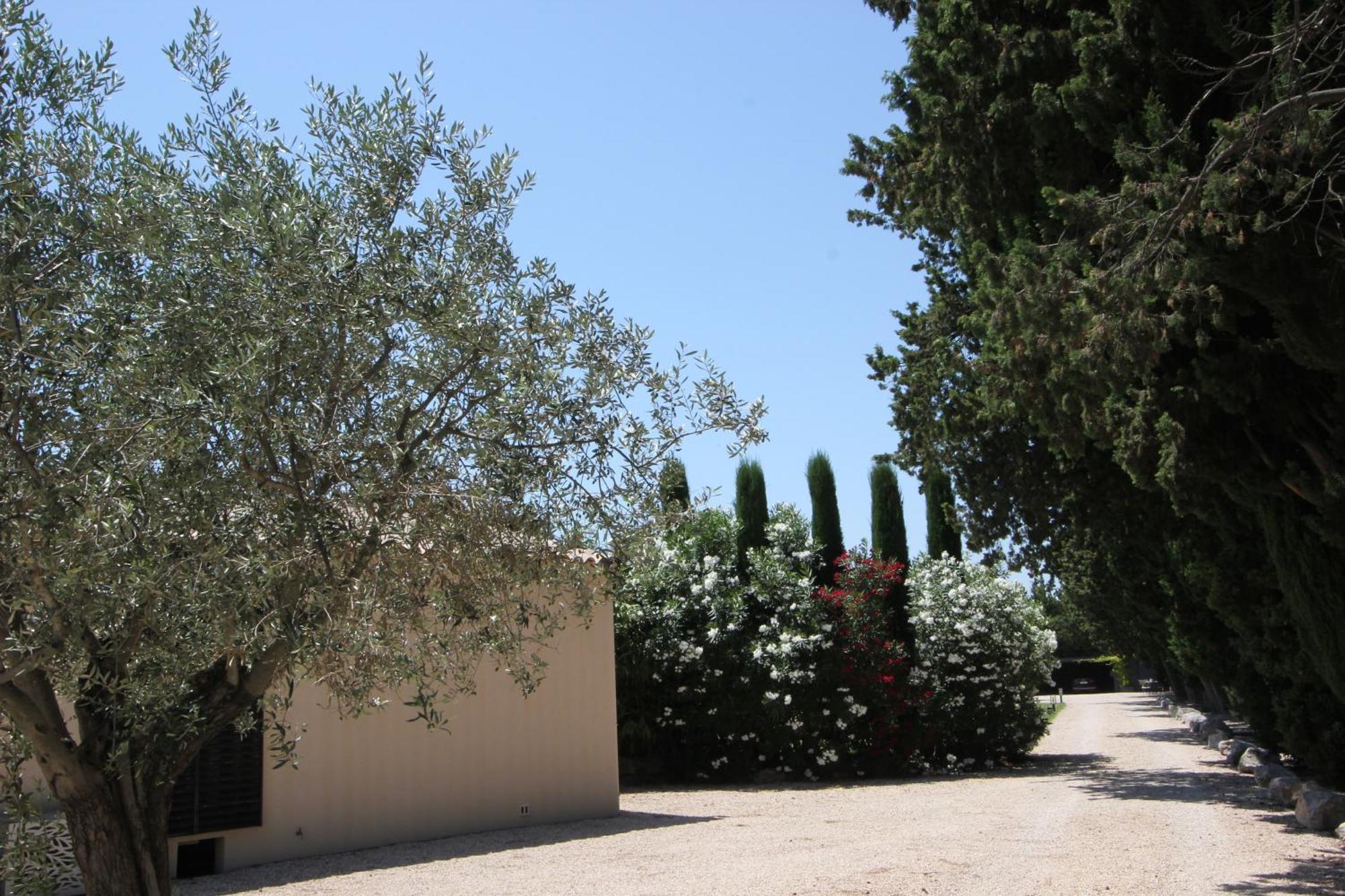 Mas Paloma 4*